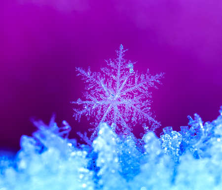 Natural real snowflakesの写真素材