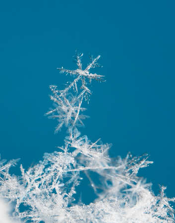 natural snowflakesの写真素材