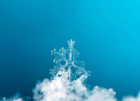 Close-up natural real snowflakesの写真素材