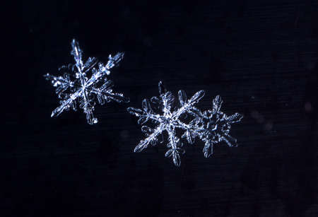 Close-up natural real snowflakesの写真素材