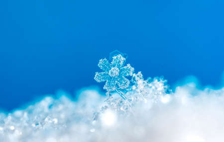 Close-up natural real snowflakesの写真素材