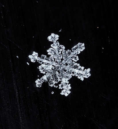 photo real snowflakes during a snowfall, under natural conditions at low temperatureの写真素材