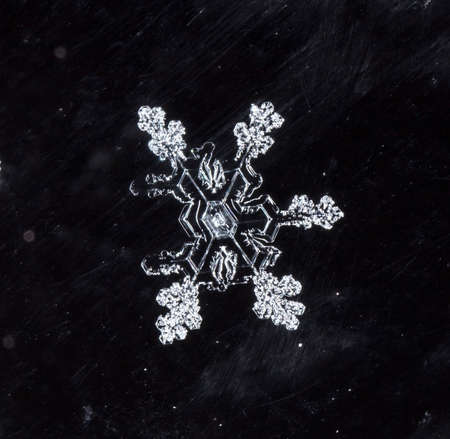 photo real snowflakes during a snowfall, under natural conditions at low temperatureの写真素材