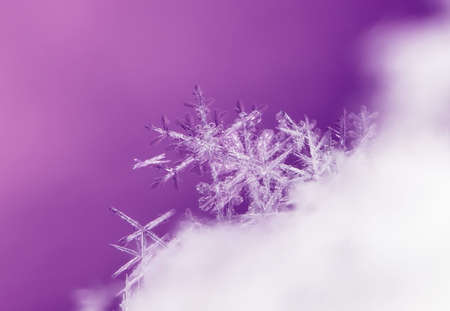 Natural snowflakes on snow. Artificially created at a temperature of -10 Cの写真素材