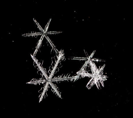 natural snowflakes. the picture is made at a temperature of -10 Cの写真素材