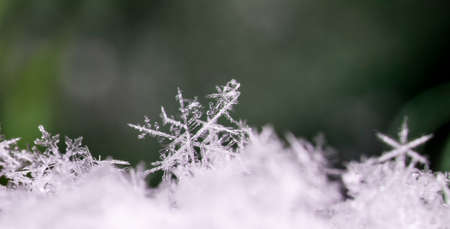 natural snowflakes on snow. the picture is made at a temperature of -10 Cの写真素材
