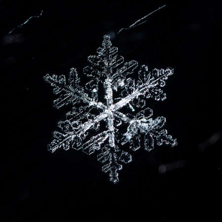Close-up natural real snowflakesの写真素材