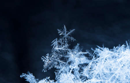 natural snowflakes on snow. the picture is made at a temperature of -10 Cの写真素材
