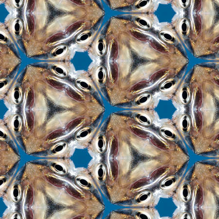 kaleidoscope, abstraction, backgroundの写真素材