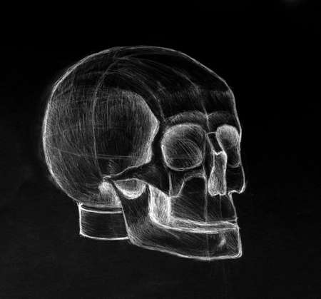 Pencil drawing, sketchの写真素材