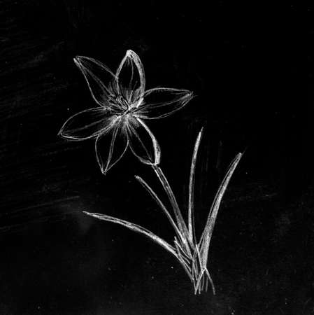 Pencil drawing, sketchの写真素材