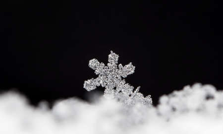 snowflake, little snowflake on the snow