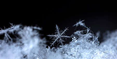winter photo of snowflakes in the snowの写真素材