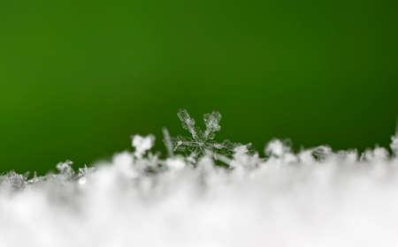 winter photo of snowflakes in the snowの写真素材