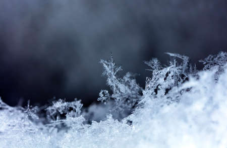 winter photo of snowflakes in the snow