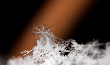 winter photo of snowflakes in the snow