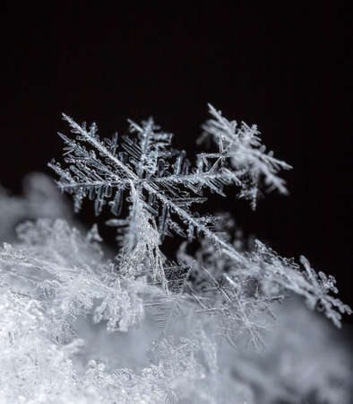 winter photo of snowflakes in the snow