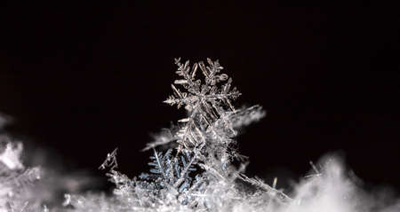 winter photo of snowflakes in the snow