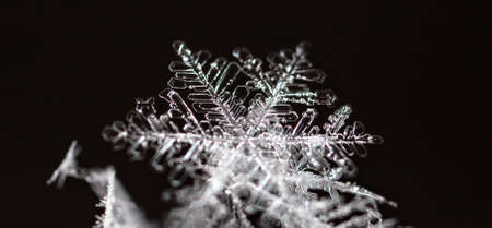 winter photo of snowflakes in the snow