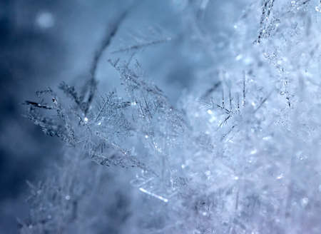 winter photo of snowflakes in the snow