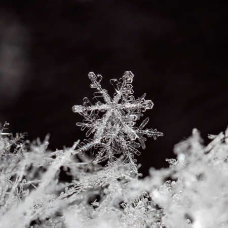 winter photo of snowflakes in the snowの写真素材