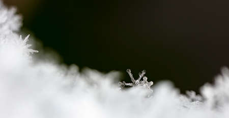 snowflake in the snow, winterの写真素材
