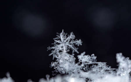 snowflake in the snow, winterの写真素材