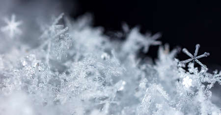 snowflake in the snow, winter