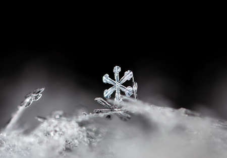 snowflake in the snow, winterの写真素材