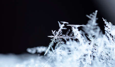 snowflake in the snow, winterの写真素材