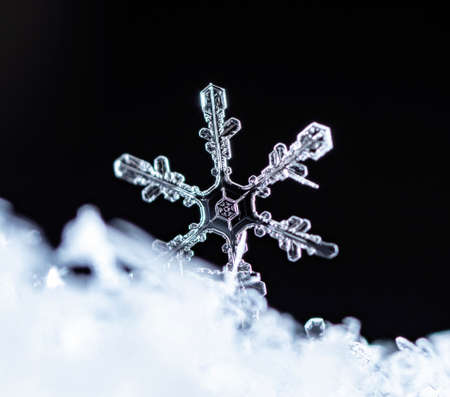 winter photo of snowflakes in the snow