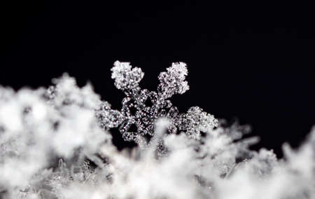 winter photo of snowflakes in the snowの写真素材