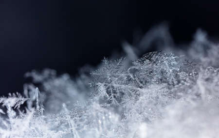winter photo of snowflakes in the snowの写真素材