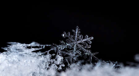 natural snowflakes on snow, winter