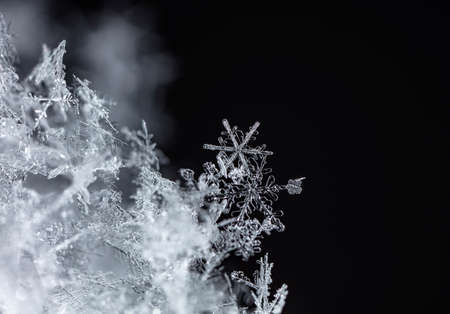 natural snowflakes on snow, winterの写真素材