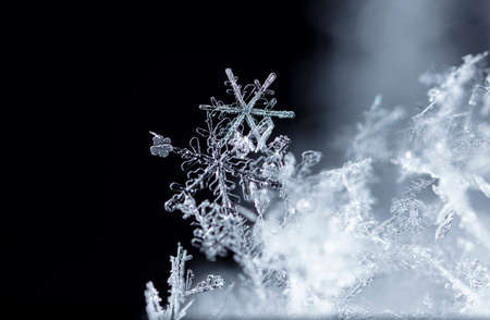 natural snowflakes on snow, winterの写真素材