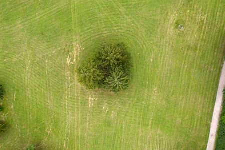 city park, square, view from aboveの写真素材