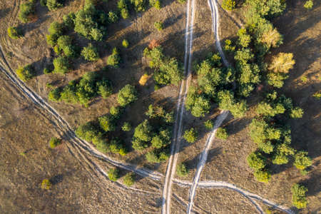 green forest, view from aboveの写真素材