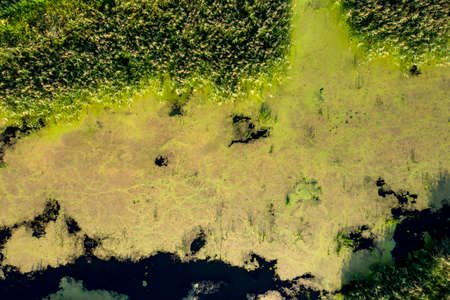 banks of a swampy river, view from aboveの写真素材