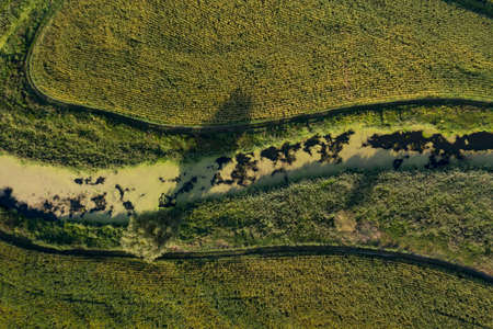 banks of a swampy river, view from aboveの写真素材