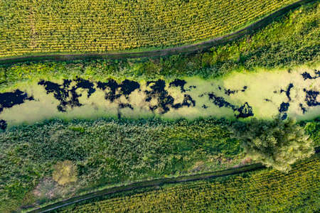 banks of a swampy river, view from aboveの写真素材