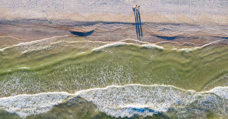 sandy beach on the seashore, view from aboveの写真素材