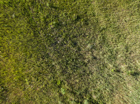 wild field, view from aboveの写真素材