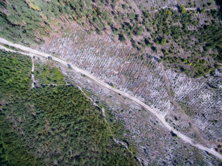 country road, view from above, aerial viewの写真素材