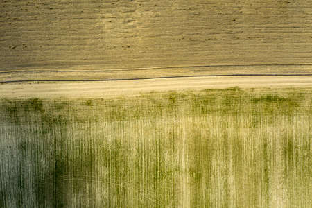 country road, view from above, aerial view