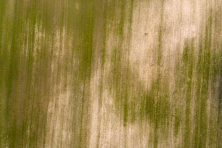 country road, view from above, aerial view