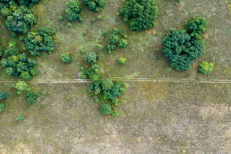 country road, view from above, aerial view