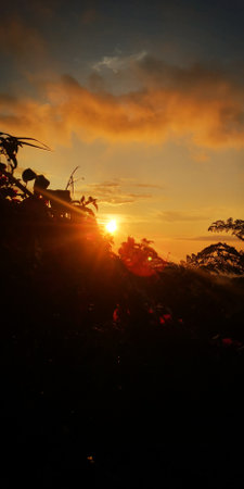 sunsetの写真素材