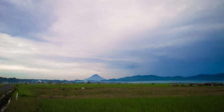 sunday morningの写真素材