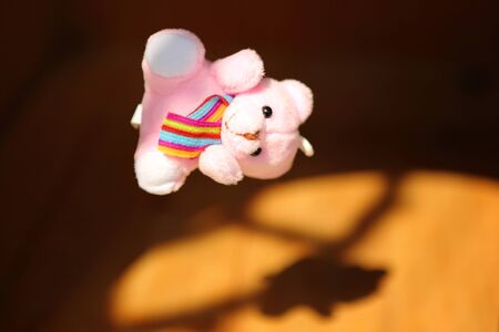 Teddy bearの写真素材